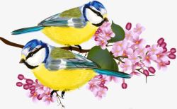黄腹山雀手绘站在桃花枝上的黄腹山雀高清图片