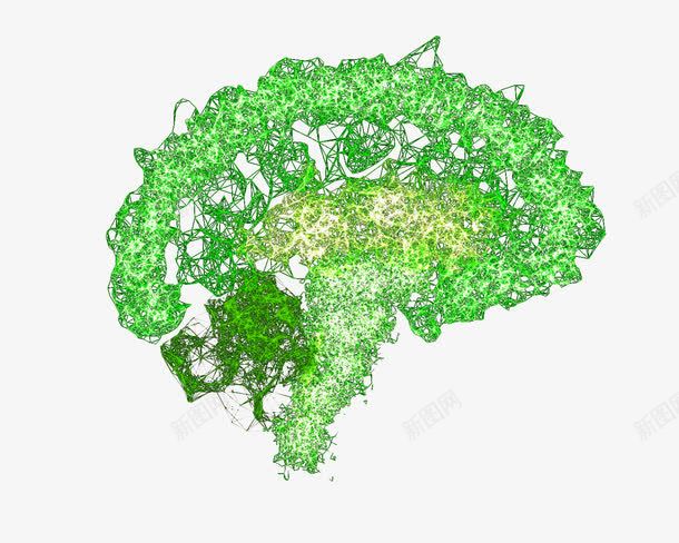 绿色脑形线条图案png免抠素材_88icon https://88icon.com 创意脑图案 绿色图案 脑形线条