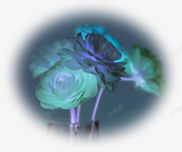 蓝色唯美夜景花朵png免抠素材_88icon https://88icon.com 夜景 花朵 蓝色