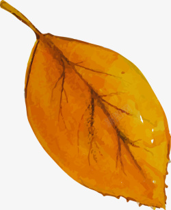 手绘水彩枯黄树叶矢量图素材
