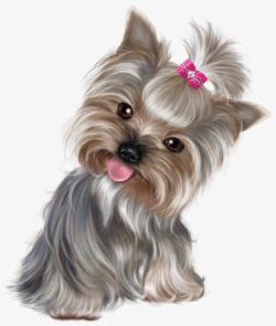 名犬绑着小花的蝴蝶犬高清图片