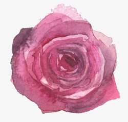 水彩手绘紫色玫瑰花花朵素材