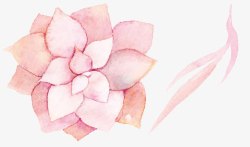 手绘涂鸦植物花朵效果素材