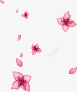 粉色花卉韩式展架素材