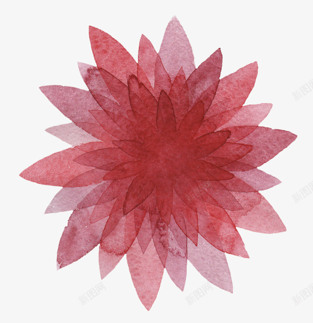 紫红色花朵png免抠素材_88icon https://88icon.com 手绘植物 植物 水彩花卉 花卉 花朵