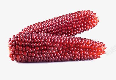 两根玉米png免抠素材_88icon https://88icon.com 成熟 红色 颗粒