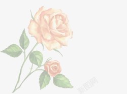 手绘梦幻玫瑰花朵植物素材
