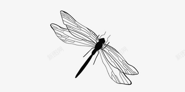 中国风传统水墨蜻蜓png免抠素材_88icon https://88icon.com 中国风 水墨画 蜻蜓