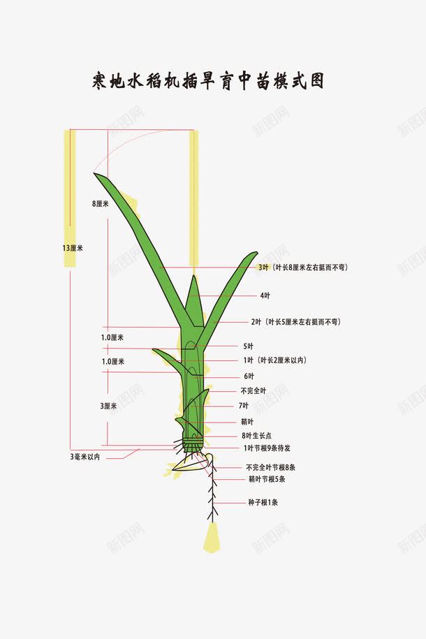 寒地水稻机插旱育中苗模式图png免抠素材_88icon https://88icon.com 农耕 模式图 水稻机 水稻育苗