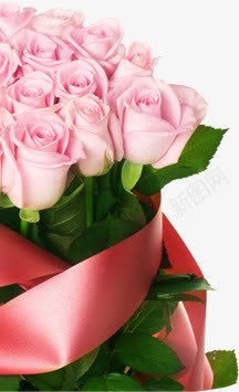 粉色香槟玫瑰png免抠素材_88icon https://88icon.com 情人 玫瑰 粉色 香槟