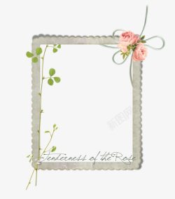 花卉边框花卉图案素材