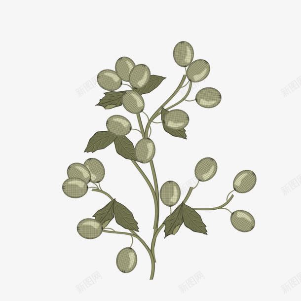 果树苗png免抠素材_88icon https://88icon.com 小苗 果树 树苗