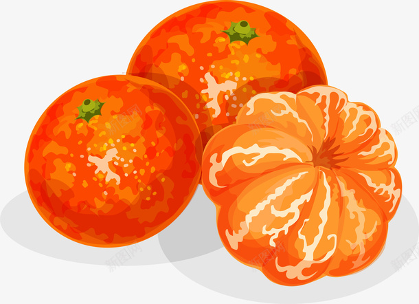 手绘橙子水果食物png免抠素材_88icon https://88icon.com 卡通 手绘 桔子 橙子 水果 矢量图案 食物