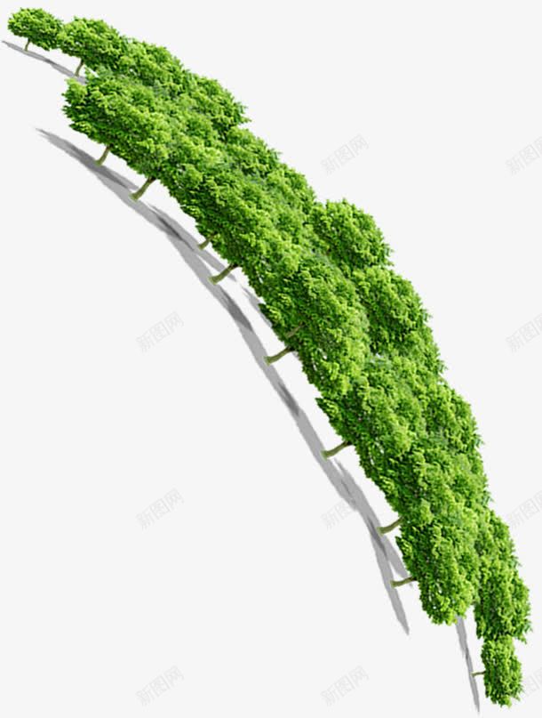 倾斜的茂密绿色丛林png免抠素材_88icon https://88icon.com 丛林 倾斜 绿色 茂密