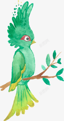 水彩动物绿色鹦鹉素材
