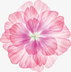 幻丽粉色幻丽的花朵高清图片