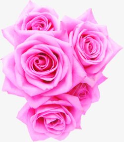 效果教师节海报粉色花朵素材