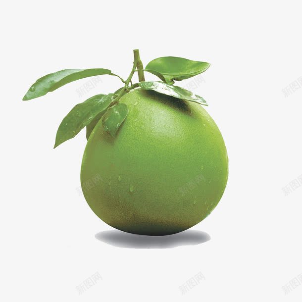 刚采摘的柚子png免抠素材_88icon https://88icon.com 产品实物 新鲜 新鲜蔬果 柚子矢量 绿色 绿色蜜柚