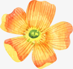 手绘花卉矢量图素材