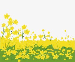 黄色花卉草地图素材
