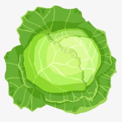 绿色蔬菜包菜素材