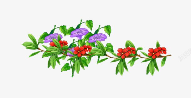 紫色牵牛花png免抠素材_88icon https://88icon.com 牵牛花 紫色 红色