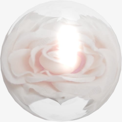 白玫瑰花瓣png免抠素材_88icon https://88icon.com 白玫瑰 粉嫩 花朵瓣 鲜花