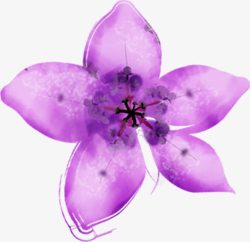 创意合成紫色的花卉手绘素材