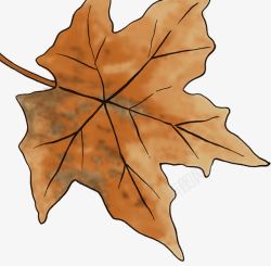 棕色纹理手绘干枯树叶素材
