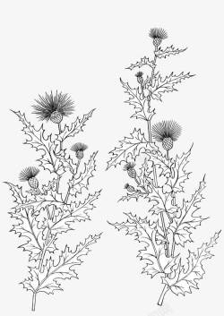 古典纹理背景与花卉素材