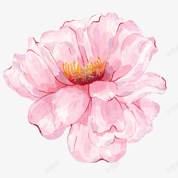 粉色手绘水墨花朵png免抠素材_88icon https://88icon.com 卡通花朵 手绘花朵 植物 粉色花朵 花朵 花瓣
