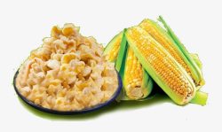 玉米和玉米粒素材
