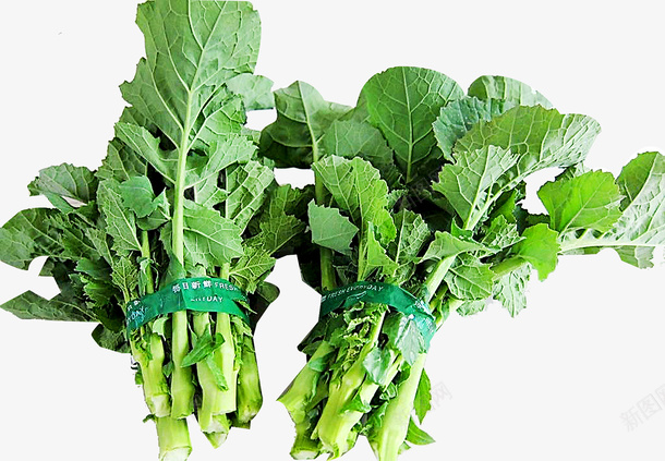 油菜苔绿色蔬菜png免抠素材_88icon https://88icon.com 油菜苔 绿色 绿色蔬菜 蔬菜