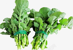 油菜苔绿色蔬菜素材