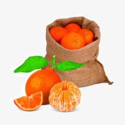 橘子麻袋摄影图素材