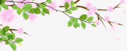 春天手绘粉色树枝素材