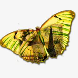 手绘背景图案黄色蝴蝶素材