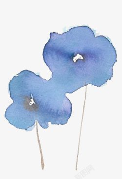 手绘两朵蓝色的花素材