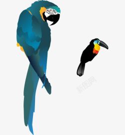 平面鹦鹉素材卡通手绘彩色鹦鹉高清图片