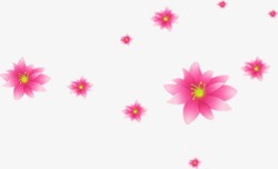 粉色烂漫花朵美景素材
