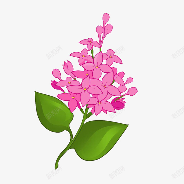 手绘时尚插画粉丁香png免抠素材_88icon https://88icon.com 丁香 丁香花 手绘 手绘丁香 插画 时尚 植物 粉丁香 装饰