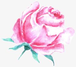 手绘粉色玫瑰创意装饰素材