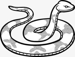 动物世界长小蛇吐舌素材