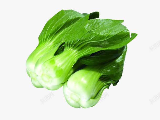 绿色蔬菜油菜png免抠素材_88icon https://88icon.com 绿色蔬菜 蔬菜素材