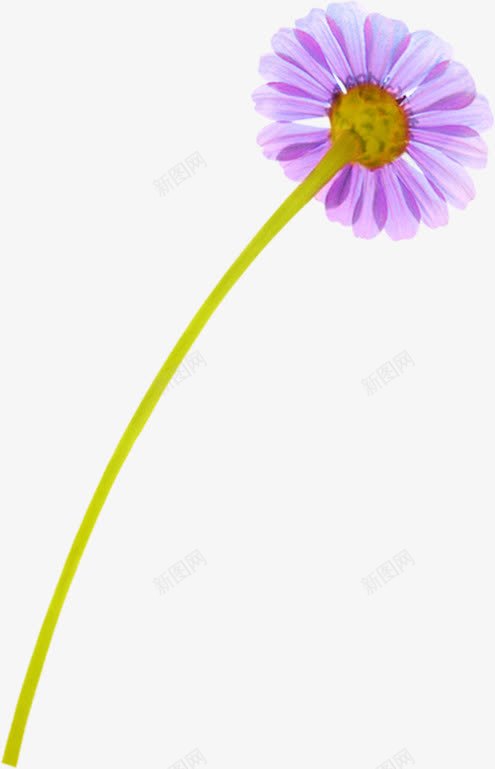 春天紫色手绘花朵png免抠素材_88icon https://88icon.com 春天 紫色 花朵