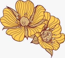 创意手绘黄色的花卉复古素材