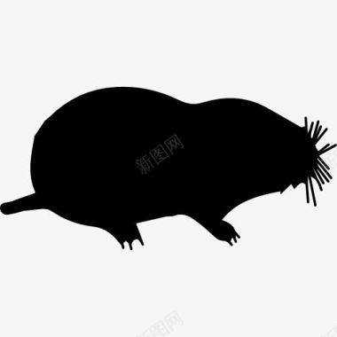 鼹鼠鼹鼠动物形状图标图标