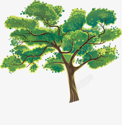 茂盛大树插图矢量图素材