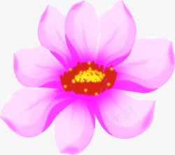 艳色粉色花卉海报素材