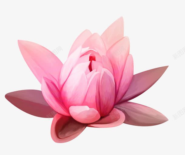 粉色荷花png免抠素材_88icon https://88icon.com 卡通 手绘 粉色 荷花 鲜花
